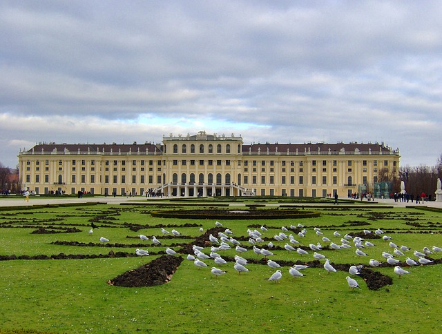Photo:  vienna palazzo Schonbrunn